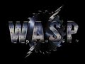 wasp - what i\ wasp - what i\