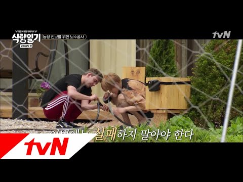 fooddiary 태용-닉, 왠지 익숙한 이 둘.. 허당 조합 맞쥬? 180704 EP.5