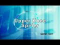 How to Apply Kinesiology Tape - SpiderTech Upper Knee