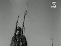 Armi del regio esercito italiano