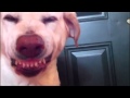 Denver, YouTube