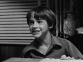 2/3 frankenweenie  1984    tim burton