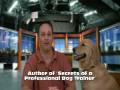 Aggressive Dog Behavior
