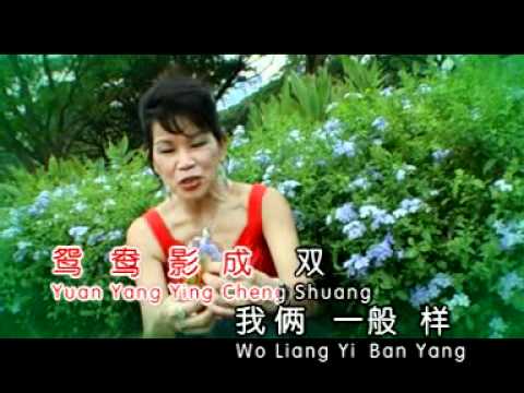 盼得一生爱相随- 苏晓凤