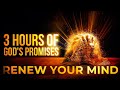 GODS PROMISES | FAITH | PEACE | STRENGTH IN JESUS GODS PROMISES | FAITH | PEACE | STRENGTH IN JESUS