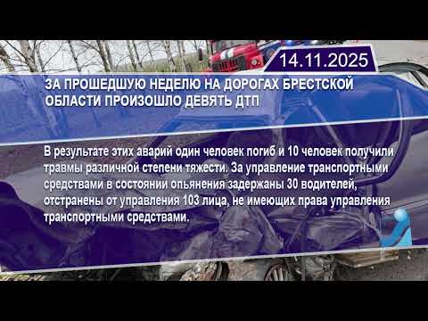 Новостная лента Телеканала Интекс 14.11.25.