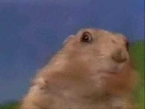 YouTube Трейлер