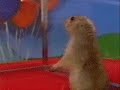 Dramatic Gopher - You Tube Stars *