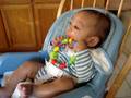 videos de milo-teether