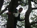 SansTitre_0003.wmv