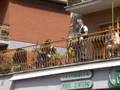 Claudio Baglioni Live Centocelle Roma 23 04 07 Clip 02