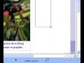 How to use the \ How to use the \