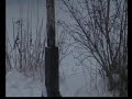 Winter in Carmzow