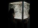 visita al cosmocaixa