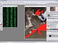 Como trocar a fundo de uma imagem pelo Photoshop Como trocar a fundo de uma imagem pelo Photoshop