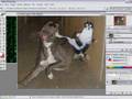 Como-trocar-a-fundo-