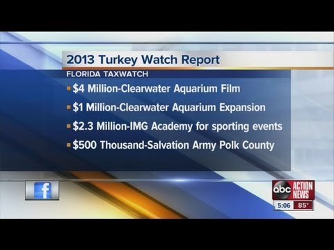 2013 Turkey Watch Report from Florida TaxWatch