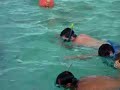 bagno con gli squali