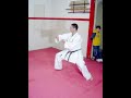 Kata SanseRyu
