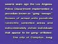 nina gordon - straight outta compton