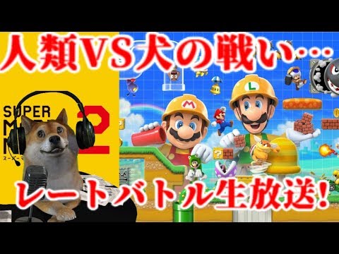 動画