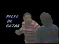 PELEA DE GATAS