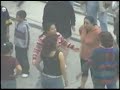 PELEA DE GATAS