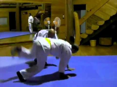 0 Hino senseï   La marche dun Budoka