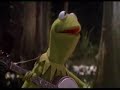 frog frog