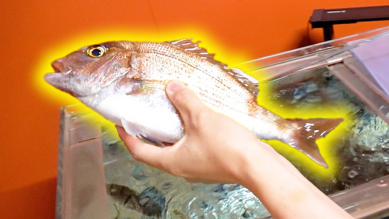 動画1
