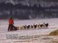 Finnmarksløpet 2008