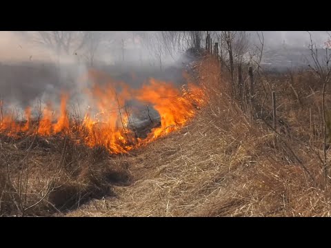 С начала года на Гомельщине зафиксировано около 590 пожаров видео