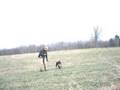 Pheasant shoot