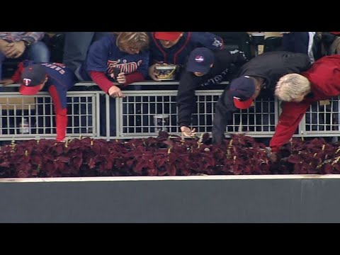 Video: Fans search for Thome's 607th home run ball at Target Field
