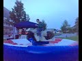 Bullriding in Weihenstephan Schlitzohr