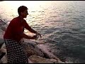 StingRay fishing صيد اللخمه