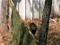 airsoft clip - beit berel israel airsoft clip - beit berel israel