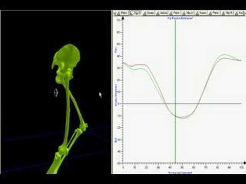 YouTube: Running Analysis