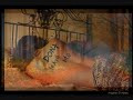 מוקדש למורן קלאוז באהבהעיבוד מדהים של מירי מסיקההייתי חייב לעשות עם זה משהויצא סרטון לא רע