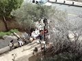 Drumming by Dung Gate (sha'ar ashpot), next to the Old City of Jerusalem, Israel