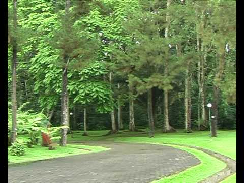 CIFOR - The Center For International Forestry Research is another placement offered with the JPP Program.