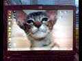 Kubuntu k�ynnistys!