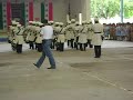 zorros 2008