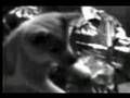 PXLpup - A Music Short in PIXELVISION