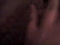 Tuzza gr�vido. :O q
