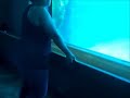 Underwater-viewing-area-at-Marineland-Canada-May-18th-2013