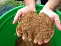 Esto solo es una prueba a ver que tal funciona este video creativo de pesca.
