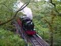 Dolgoch Falls, Tal-y-llyn Railway
