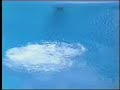 2004 O-Trials, 205B, 3 Meter