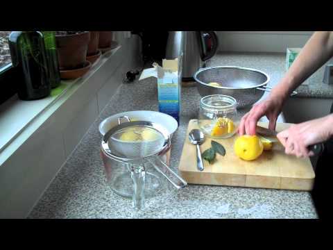 how to preserve a lemon